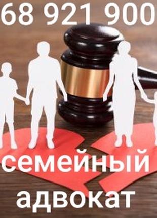 Семейный адвокат. Развод. Раздел имущества. Алименты.