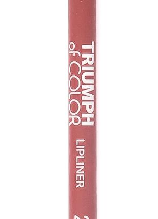 Карандаш для губ Triumph №213 of Color TF Триумф