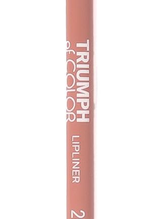 Карандаш для губ Triumph №201 of Color TF Триумф