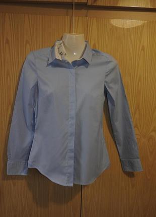 H&m рубашка бело-голубая в полоску новая с биркой размер 34