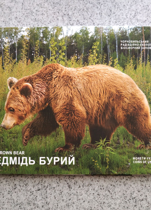 Ведмідь бурий.
Чорнобиль Відродження Медведь Блістер 5  гривень