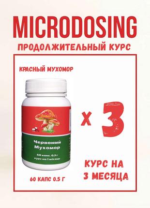 Мухомор червоний х3 І капсули, 60 шт х 0,5 м І тривалий курс