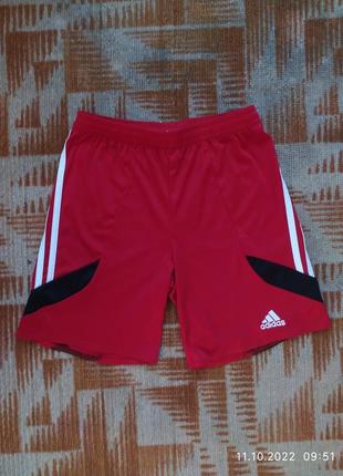 Спортивні шорти adidas climalite