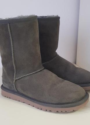 Чоботи ugg classic australia оригінал замша овчина уггі валянки