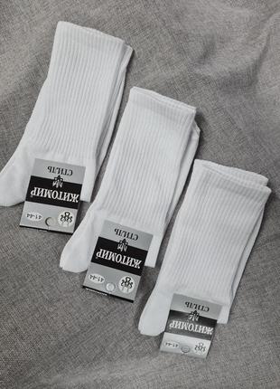 Шкарпетки високі білі однотонні унісекс від 36р до 45р, білі в...