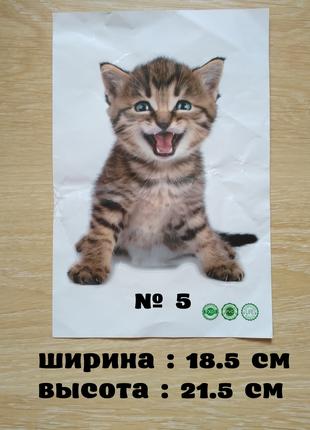 Наклейка котик номер 5 для ванни, дитячої кімнати