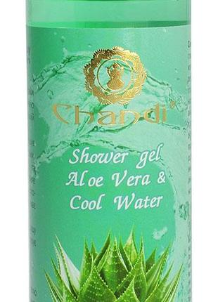 Індійський гель для душа "Aloe Vera & Cool Water" Chandi, 200мл
