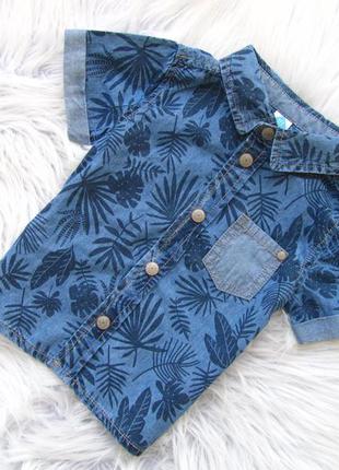 Стильная джинсовая рубашка с коротким рукавом tex