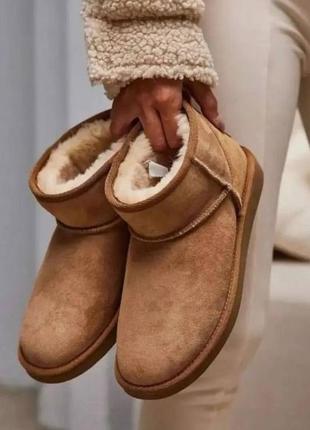 Угг женские мини рыжие ugg classic  mini chesternaut