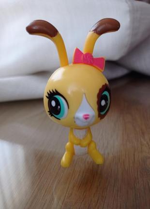 Littlest pet shop