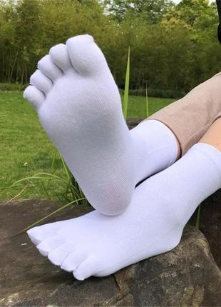 Шкарпетки високі білі базові з пальцями бавовняні унісекс без ...