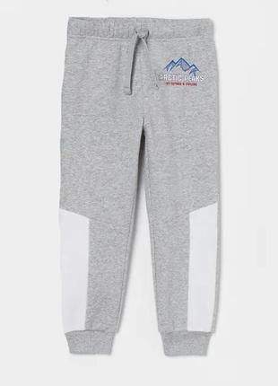 Дитячі спортивні штани джоггери arctic peak h&m на флісі на хл...