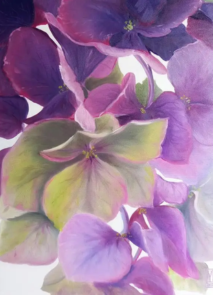 Картина "цветы гортензии"