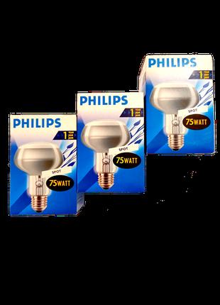 Лампа розжарювання PHILIPS R80 75W E27 рефлекторна (40321)