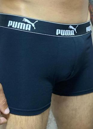 Трусы, боксерки puma