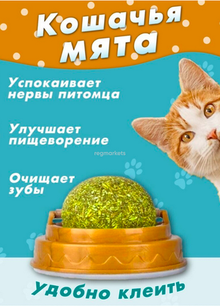 Игрушка для кошек - вращающийся мятный шарик на стену, кошачья мя