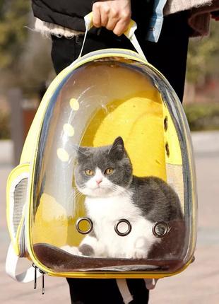 Рюкзак переноска для небольших котов