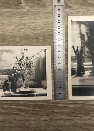 Фотография 1950-60-ые Натюрморт Цветы Ваза Черно-Белая Фото 2шт.