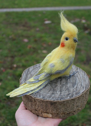 Валяна іграшка попугай Корелла з шерсті інтерєрна птиця хендмєйд