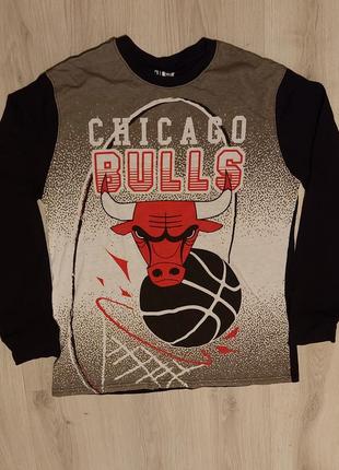 Chicago bulls nba