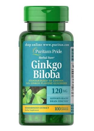 Ginkgo Biloba Standardized Extract 120mg - 100caps