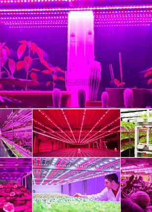Фіто LED 50вт прожектор світильник для рослин повний спектр 50w