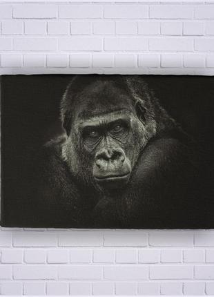 Картина, холст на подрамнике "Портрет гориллы". Галерейная нат...
