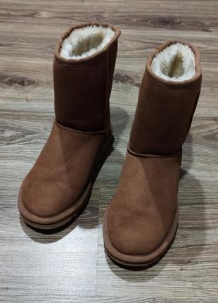 Женские угги ugg australia оригинал натуральная кожа и шерсть