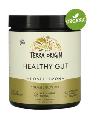 Terra Origin, Healthy Gut, мед та лимон, 232 г