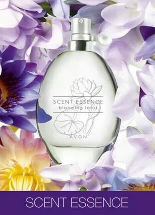 Scent essence blooming lotus "квітучий лотос"