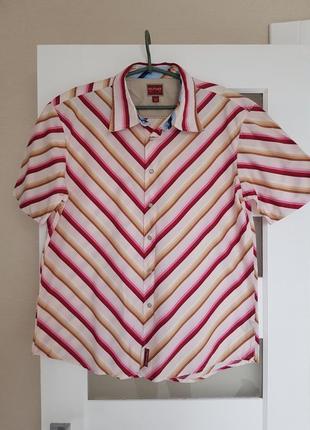 Стильна брендова сорочка tommy hilfiger