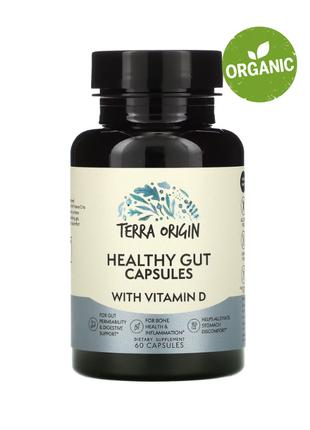 Terra Origin, Healthy Gut, для здоров'я кишечника + D3, 60 капсул