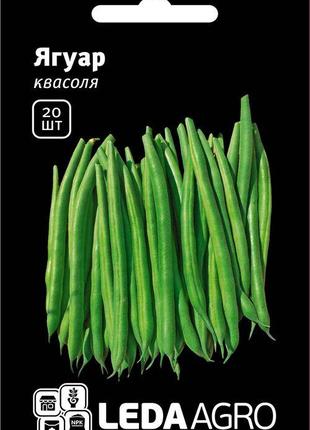 Семена фасоли Ягуар, 20 шт., спаржевой зеленой, ТМ "Леда Агро"