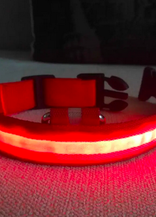 Светящийся ошейник для собак DogClub L (45-55 см) Красный