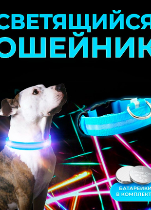 Светящийся ошейник для собак DogClub M (40-45 см) Синий