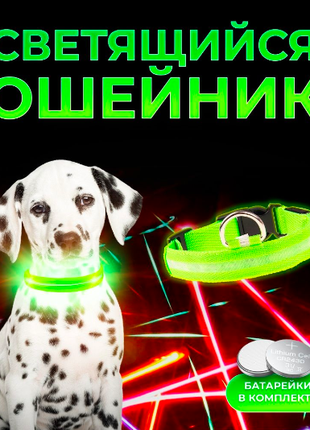 Светящийся ошейник для собак DogClub M (40-45 см) зеленый