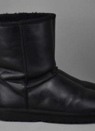 Ugg australia classic short уггі черевики чоботи жіночі зимові...