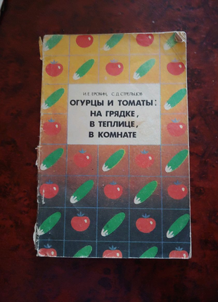 Огурцы и томаты на грядке