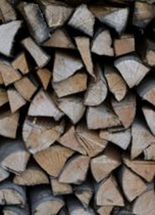 Продам дрова твердої та м'якої порід