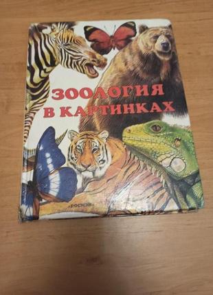 Александр Барков Зоология в картинках редкая Росмэн