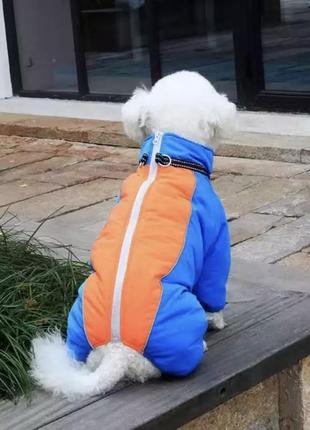 Зимний тёплый комбинезон для собак.