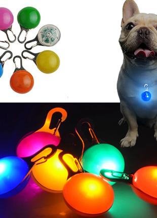 Брелок фонарик для собак на ошейник LED F4 Красный. Светодиодн...