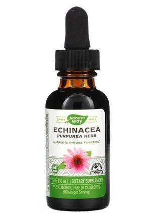 Ехінацея 500 мг Nature's Way Echinacea Alcohol Free для зміцне...
