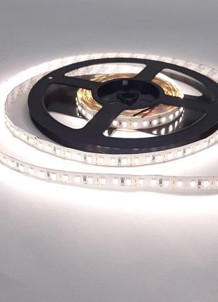 Светодиодная лента LED премиум класса нейтральная 12v/12w, 160...