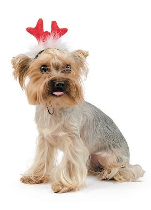 Новогодний аксессуар для собак Pet Fashion Рожки
