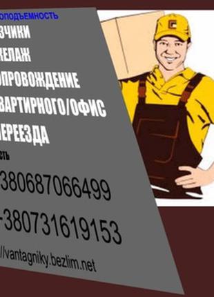 Услуги грузчиков Киев. Перевозка мебели Недорого.