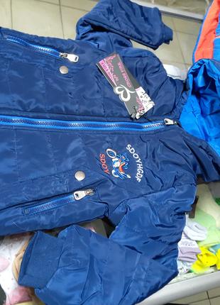 Демисезонная термо Куртка для мальчика Вегрия 86 92 98 104