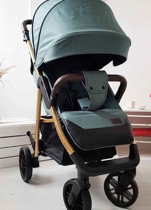 Прогулочная коляска книжка CARRELLO Echo Каррелло Бесплатная д...