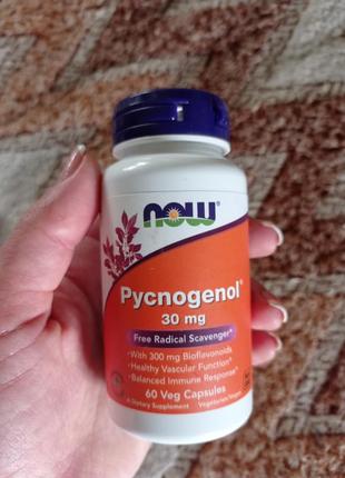 Пікногенол, now foods, 30 мг, 60 капсул