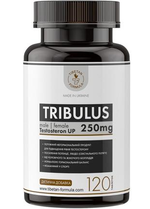 Трибулус БАД для повышения тестостерона 120 табл Тибетская фор...